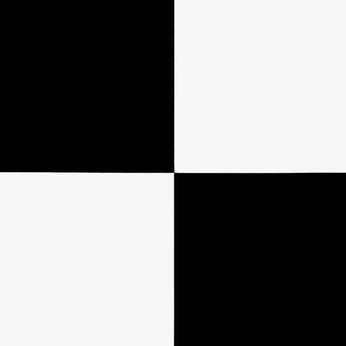 2 Ft X 2 Ft Checkered in Black and White